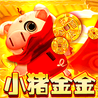 小豬金金